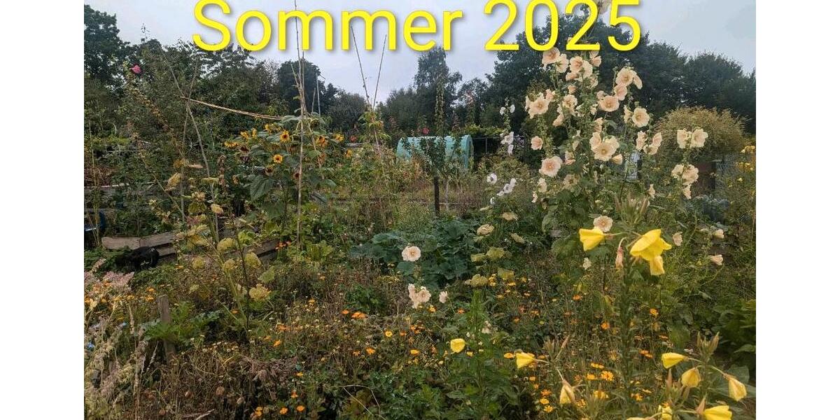 Grundstück Wolfsburg Detmerode - 550&euro; | Angebot:26258125