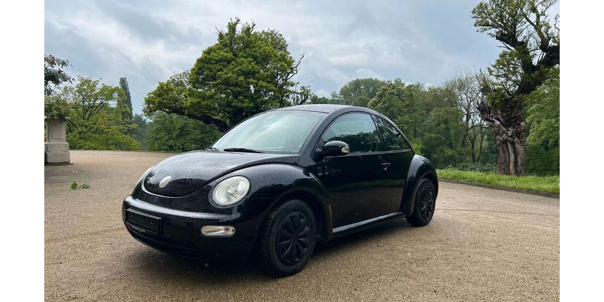 VW Beetle 165.000 km 1.900 &euro; Braunschweig 38122
