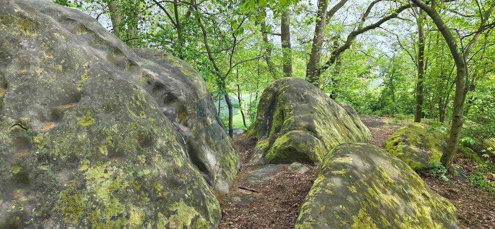 Etagenwohnung Wolfsburg Hohenstein - 3 Zimmer, 57 m&sup2;, 430&euro; | Angebot:25210938