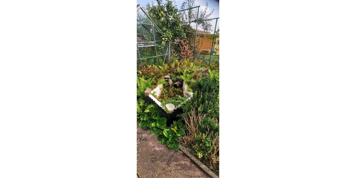 Grundstück Wolfsburg Ehmen - 2.200&euro; | Angebot:26295397