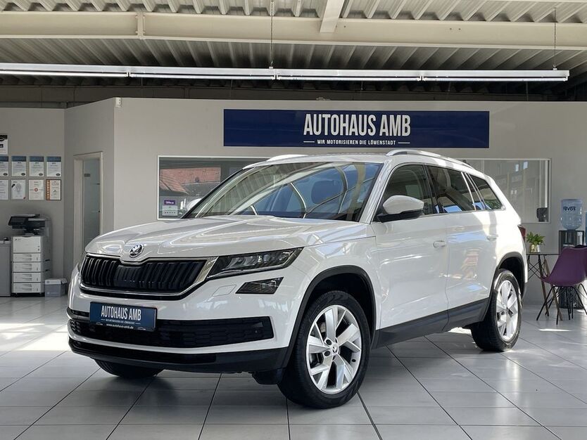 Skoda Kodiaq 96.447 km 22.600 € Braunschweig 38122