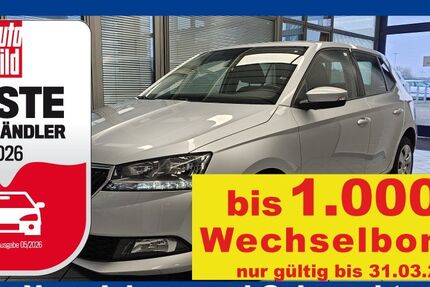 Skoda Fabia 45.322 km 10.800 &euro; Wolfsburg-Heiligendorf 38444