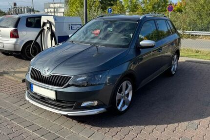 Skoda Fabia 48.000 km 15.499 € Rötgesbüttel 38531