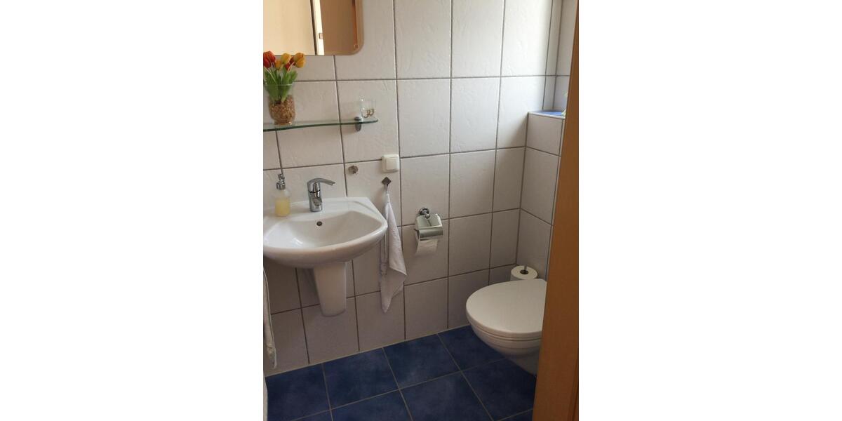 Bungalow Sassenburg - 3 Zimmer, 100 m&sup2;, 850&euro; | Angebot:26225558
