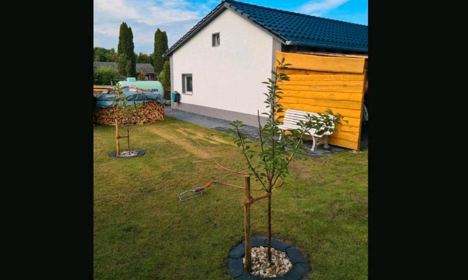 Einfamilienhaus Wolfsburg - 3 Zimmer, 75 m&sup2;, 119.950&euro; | Angebot:26847397