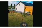 Einfamilienhaus Wolfsburg - 3 Zimmer, 75 m&sup2;, 119.950&euro; | Angebot:26847397