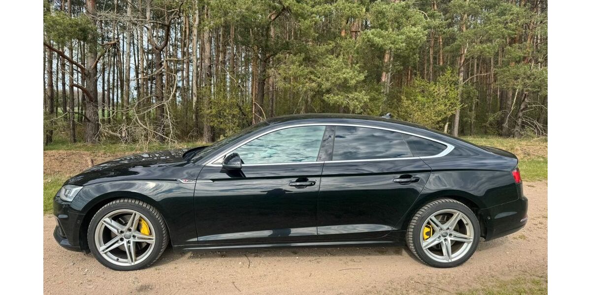 Audi A5 189.300 km 19.700 &euro; Gifhorn 38518