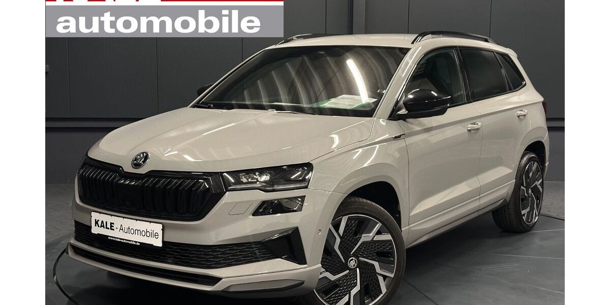 Skoda Karoq 98.000 km 29.800 &euro; Helmstedt 38350