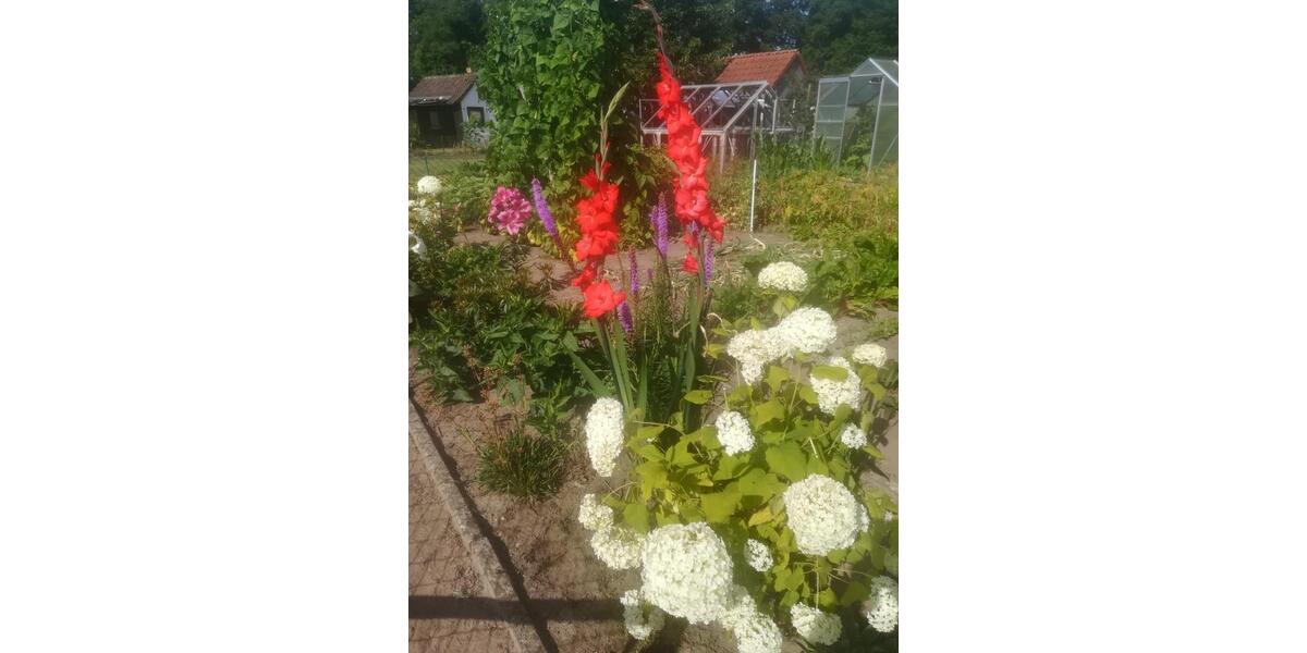 Grundstück Braunschweig Östliches Ringgebiet - 1.750&euro; | Angebot:26048459