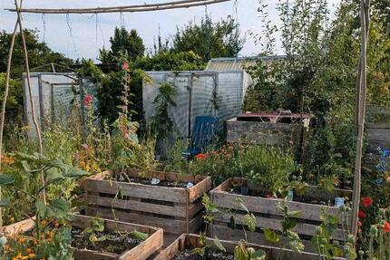 Grundstück Wolfsburg Detmerode - 550&euro; | Angebot:26258125