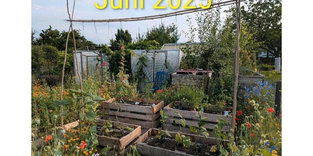 Grundstück Wolfsburg Detmerode - 550&euro; | Angebot:26258125