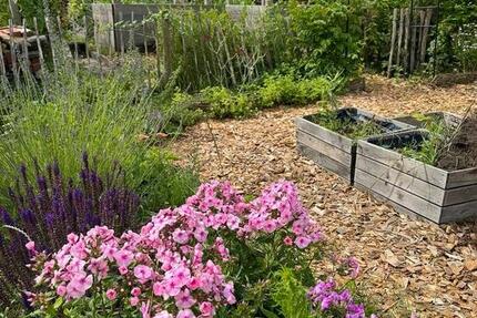 Kleingarten abzugeben KGV Sonniges Land zimmer