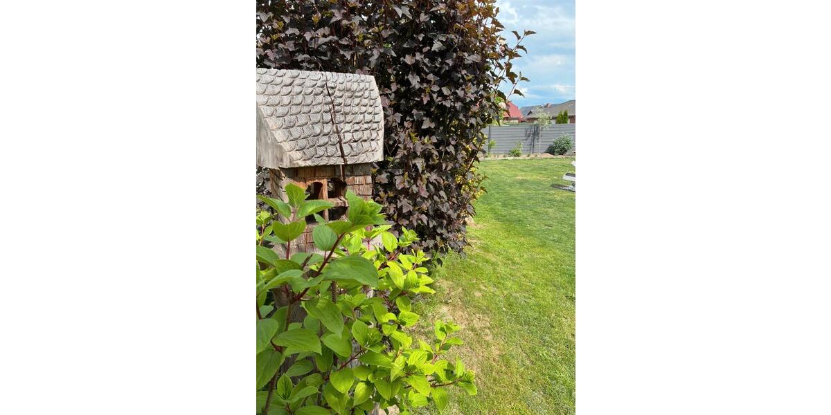 Einfamilienhaus Grasleben - 4 Zimmer, 138 m&sup2;, 469.000&euro; | Angebot:25841867