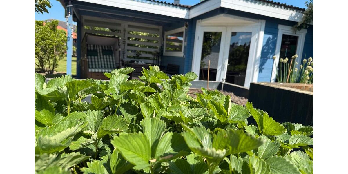 Bungalow Velpke - 5 Zimmer, 211 m&sup2;, 673.000&euro; | Angebot:27083454