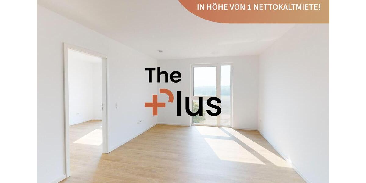 Neuanfang leicht gemacht: 2 Monate mietfrei als Weihnachtsaktion geschenkt!: 2-Zimmerwohnung 2 zimmer