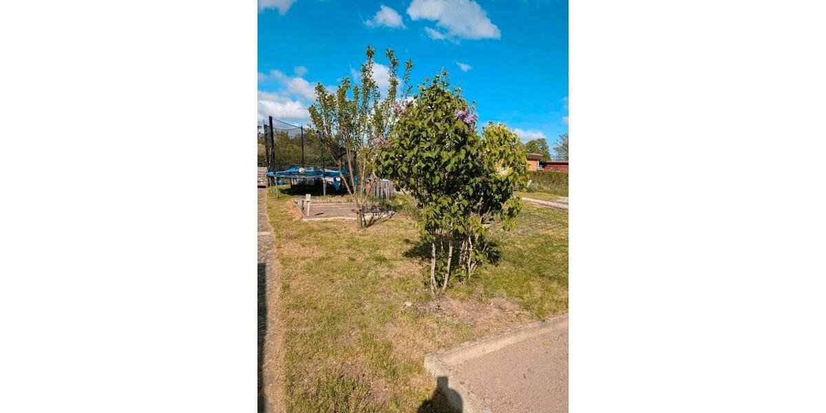 Grundstück Braunschweig Nordstadt - 988&euro; | Angebot:26626787