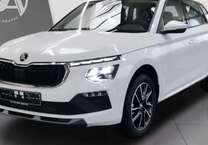 Gebrauchtwagen Skoda Kamiq