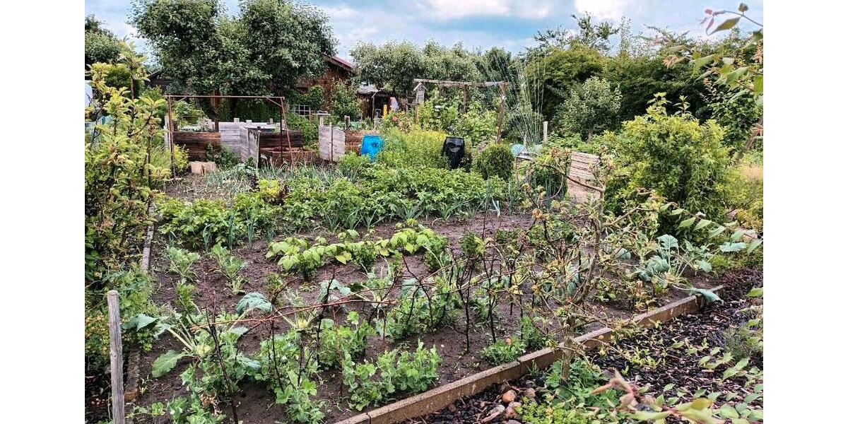 Grundstück Wolfsburg Detmerode - 4.699&euro; | Angebot:25311255