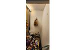 Etagenwohnung Braunschweig Nordstadt - 2 Zimmer, 65 m&sup2;, 440&euro; | Angebot:26465205