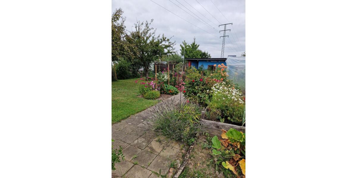 Grundstück Wolfsburg Ehmen - 2.800&euro; | Angebot:24316945