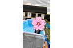 Grundstück Braunschweig Nordstadt - 988&euro; | Angebot:26626787