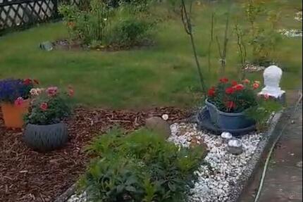 Grundstück Wolfsburg Detmerode - 5.000&euro; | Angebot:26329672