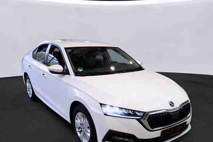 Skoda Octavia 67.500 km 23.470 € Gifhorn 38518
