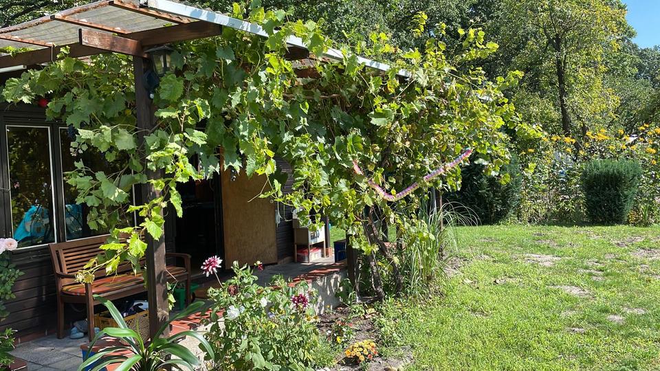 Grundstück Wolfsburg Almke - 3.800&euro; | Angebot:26056125