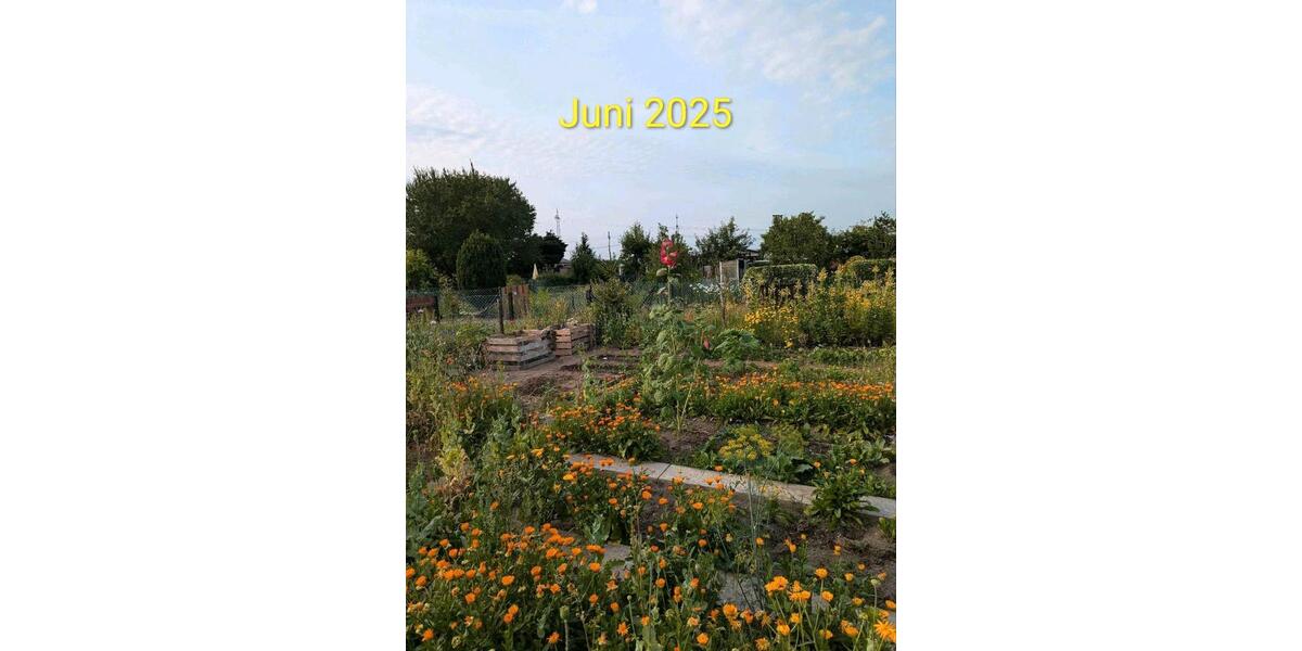 Grundstück Wolfsburg Detmerode - 550&euro; | Angebot:26258125