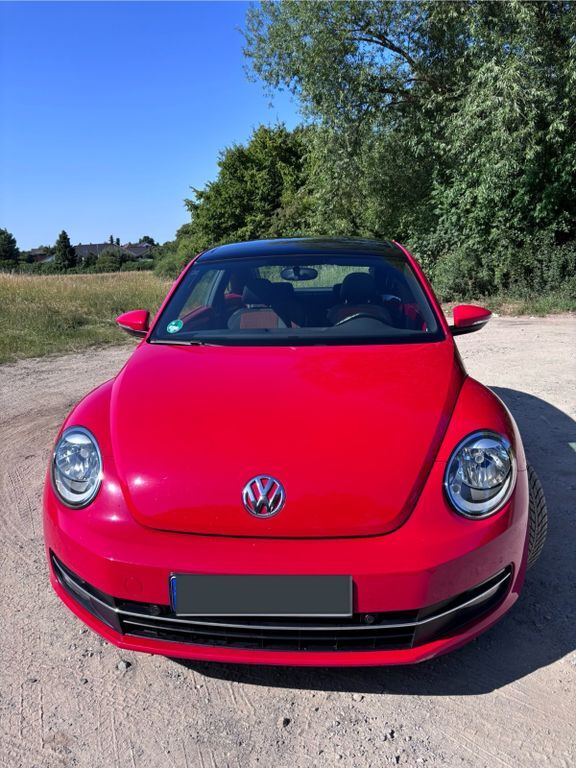 Beetle