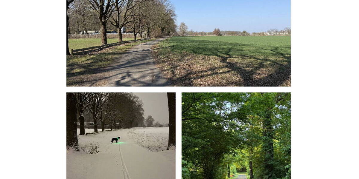 Etagenwohnung Wolfsburg Kästorf - 4 Zimmer, 140 m&sup2;, 295.000&euro; | Angebot:26217982