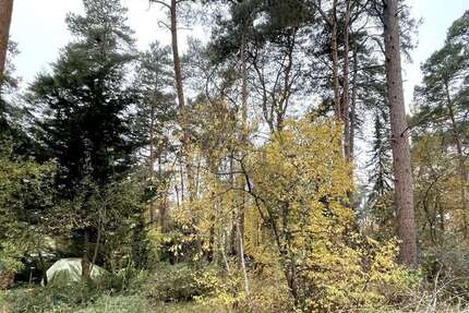 Grundstück zu verkaufen in Gifhorn 199.000 € 1301 m² zimmer