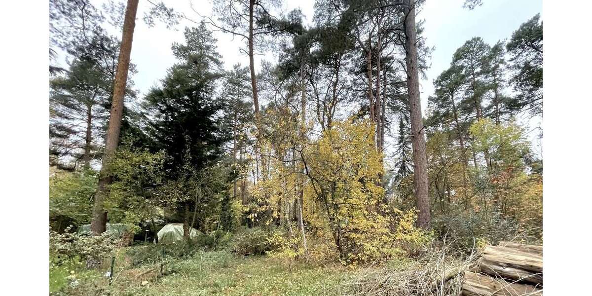 Grundstück zu verkaufen in Gifhorn 199.000 € 1301 m² zimmer