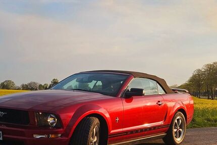 Ford Mustang 165.000 km 14.999 &euro; Tülau 38474