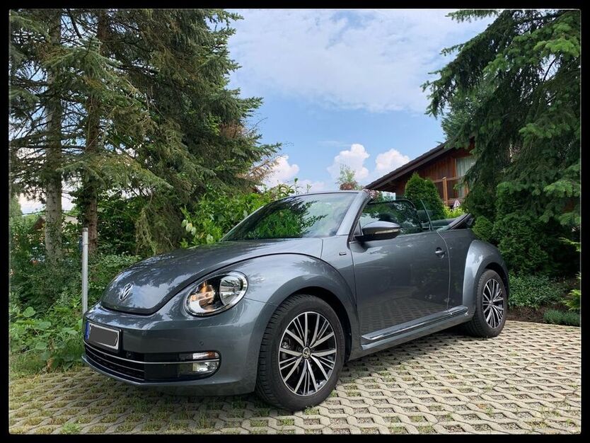 Beetle