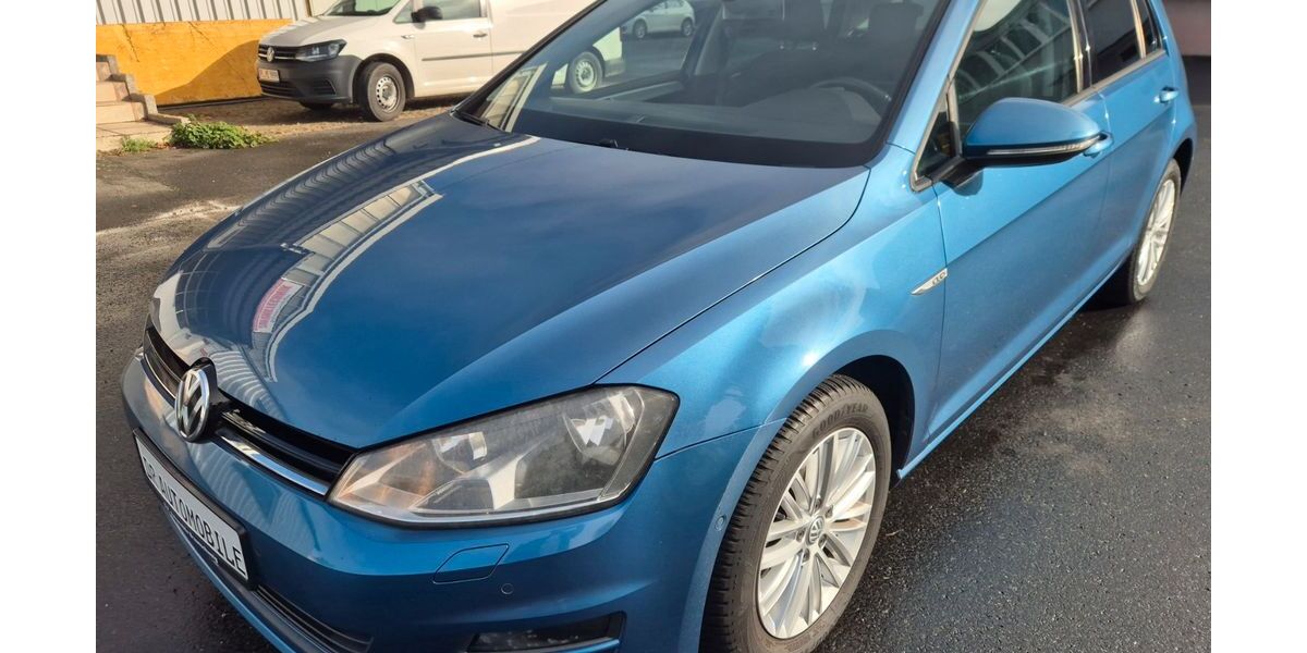 VW Golf 113.000 km 8.990 &euro; Braunschweig 38112