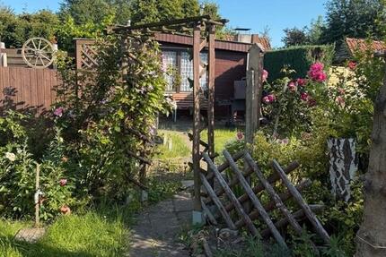 Schrebergarten abzugeben zimmer