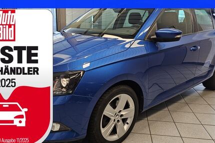 Skoda Fabia 97.548 km 11.300 € Wolfsburg-Heiligendorf 38444