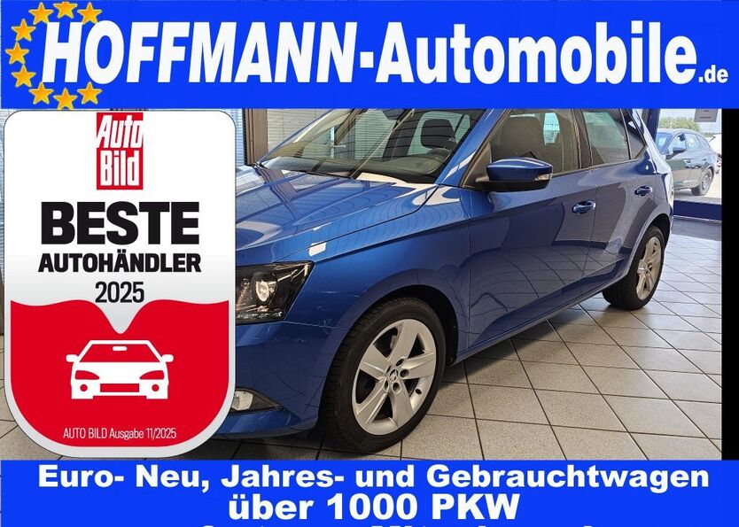 Skoda Fabia 97.548 km 11.300 € Wolfsburg-Heiligendorf 38444