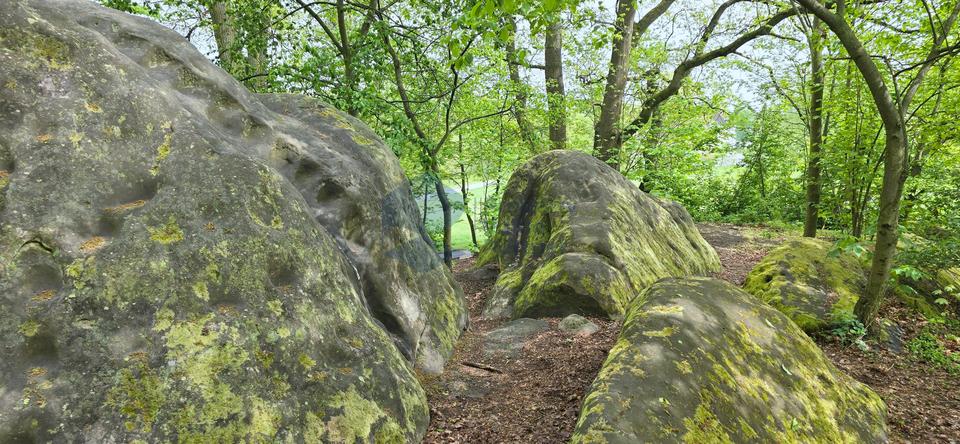 Erdgeschoßwohnung Wolfsburg - 3 Zimmer, 52 m&sup2;, 425&euro; | Angebot:25348896