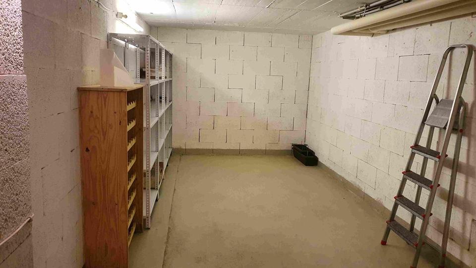 Richtig gut wohnen in Wolfsburg: 3-Zimmer-Wohnung mit viel Platz und Komfort 3 zimmer