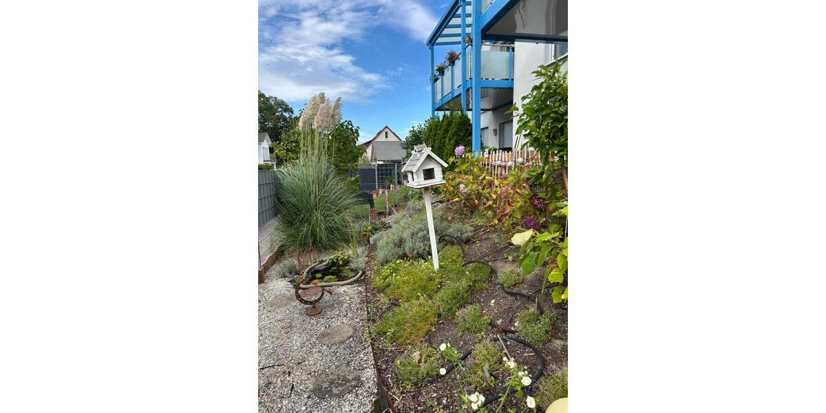Erdgeschoßwohnung Meine - 2 Zimmer, 81 m&sup2;, 885&euro; | Angebot:26482107
