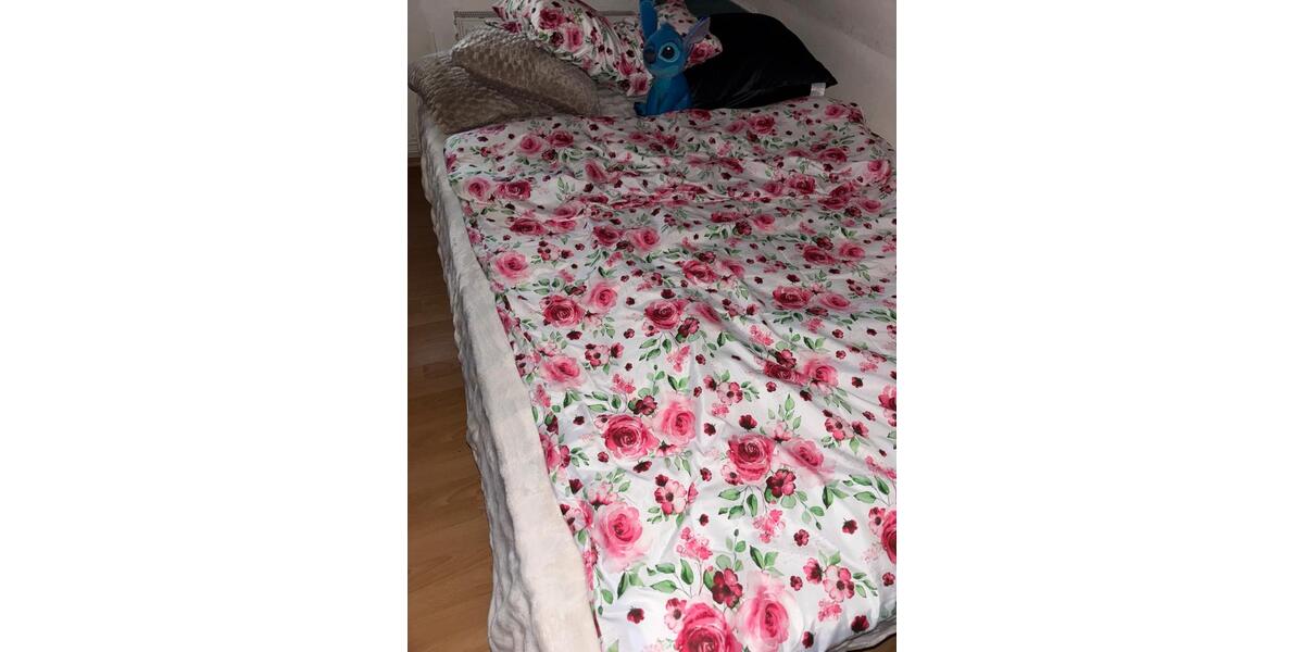 Dachgeschoßwohnung Braunschweig Nordstadt - 1 Zimmer, 11 m&sup2;, 350&euro; | Angebot:25253575