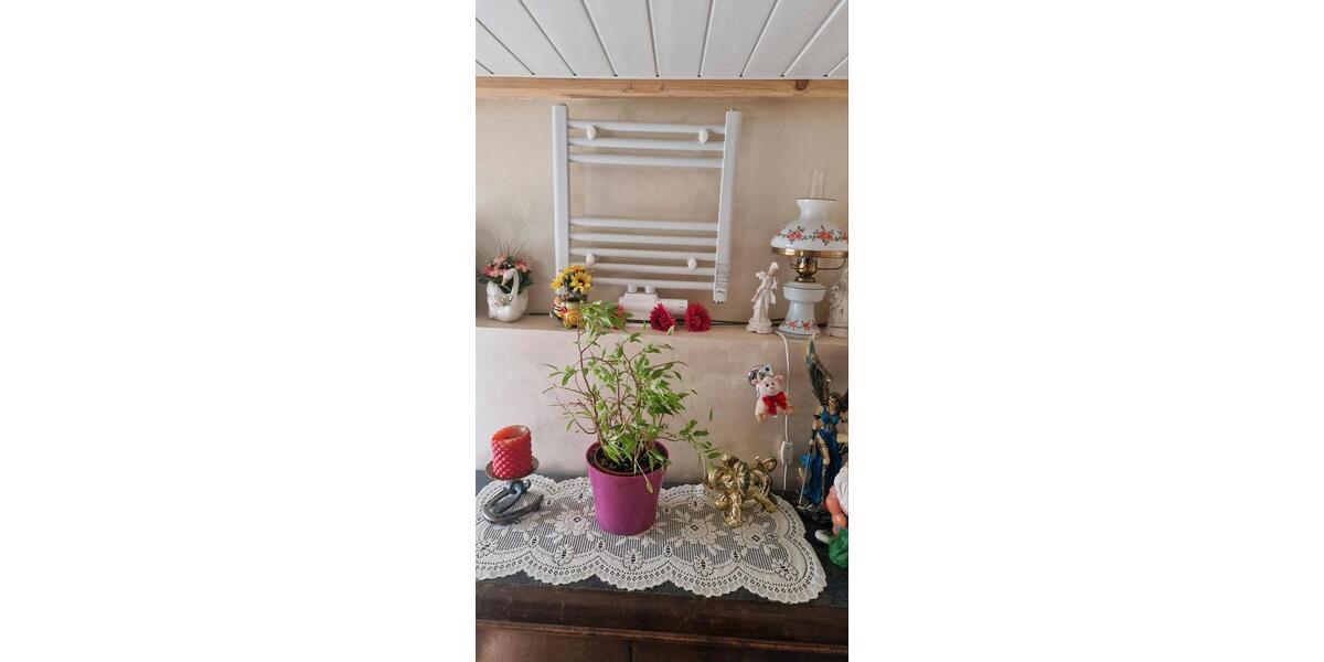 Bungalow Gifhorn - 4 Zimmer, 80 m&sup2;, 152.000&euro; | Angebot:26048417