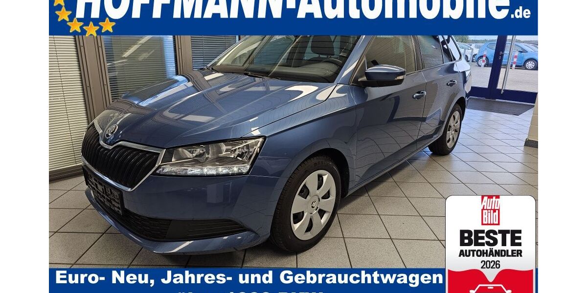 Skoda Fabia 93.592 km 10.900 &euro; Wolfsburg-Heiligendorf 38444