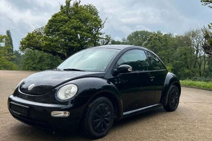 VW Beetle 165.000 km 1.590 &euro; Braunschweig 38122