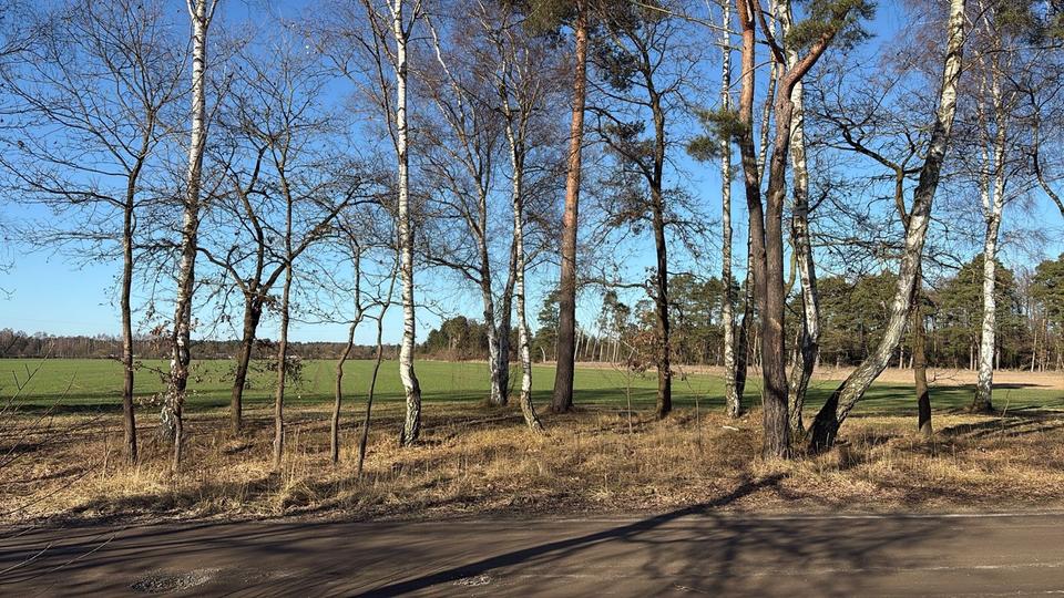 Einfamilienhaus Gifhorn - 126.000&euro; | Angebot:25275841