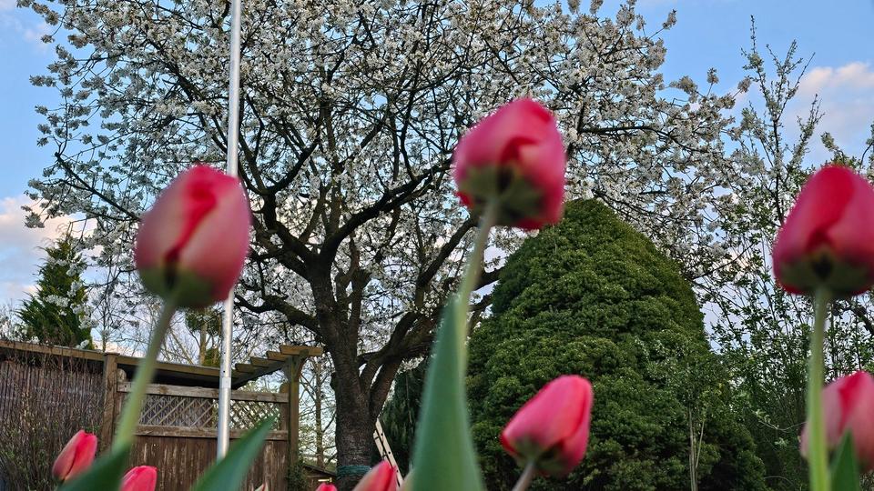 Einfamilienhaus Wolfsburg Ehmen - 12.700&euro; | Angebot:26153411