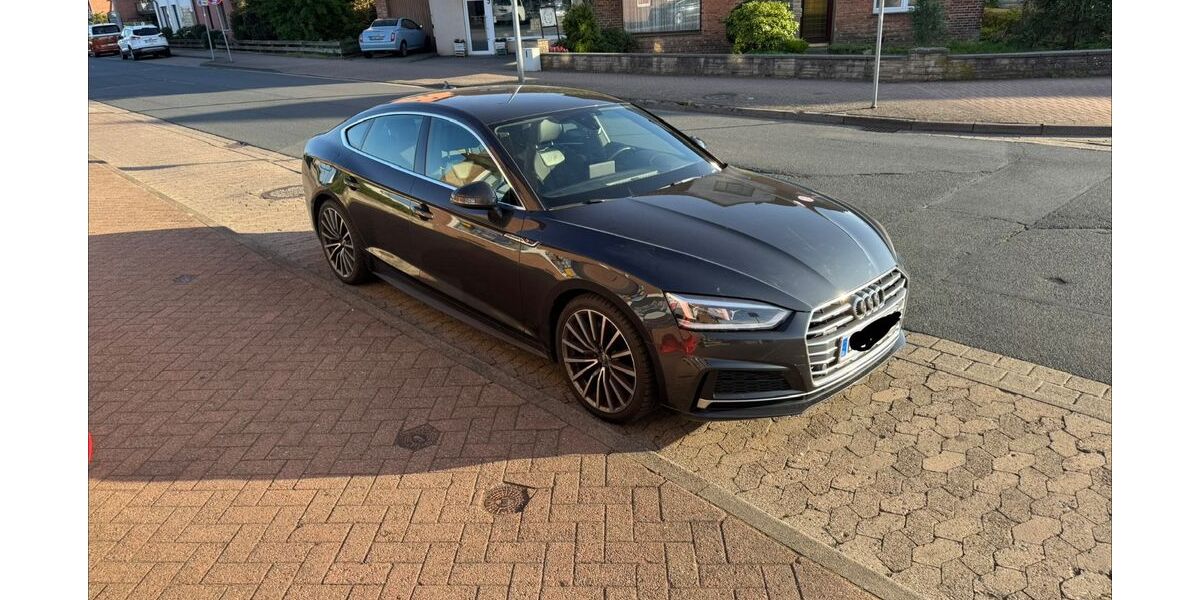 Audi A5 165.000 km 20.600 &euro; Gifhorn 38518