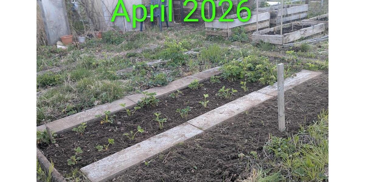 Grundstück Wolfsburg Detmerode - 550&euro; | Angebot:26258125